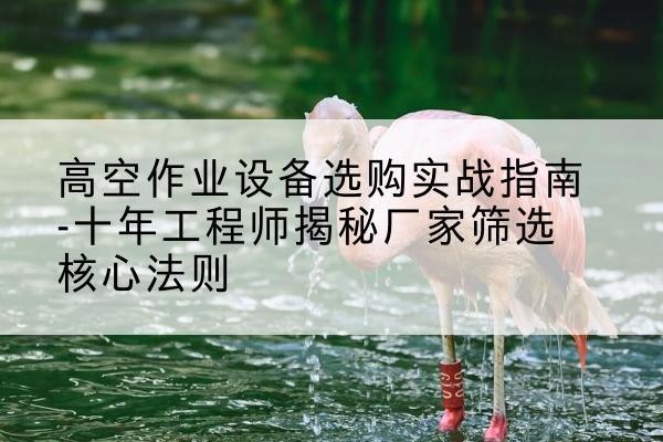 回民剪叉式升降机厂家-高空作业设备选购实战指南-十年工程师揭秘厂家筛选核心法则