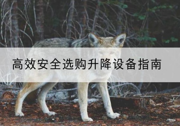 回民升降货梯厂家推荐-*安全选购升降设备指南
