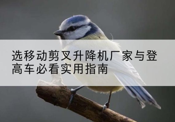回民电动升降机厂家-选移动剪叉升降机厂家与登高车必看实用指南