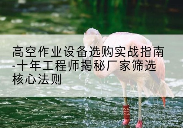 回民剪叉式升降机厂家-高空作业设备选购实战指南-十年工程师揭秘厂家筛选核心法则